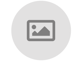 Maria de Lourdes Koerich Belli Stella